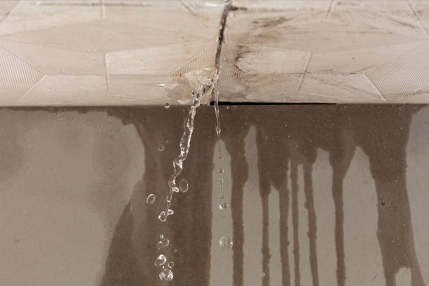 Professional Structural Drying technician working in Hamburg, MI